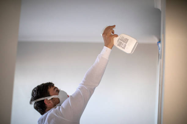 Best Affordable Mold Removal  in St James, NY