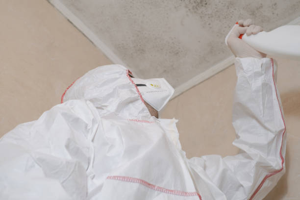 Best Professional Mold Removal  in St James, NY