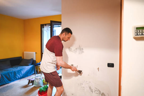 Best Mold Damage Repair  in St James, NY